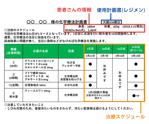 お薬手帳への情報提供内容（化学療法計画書）の例