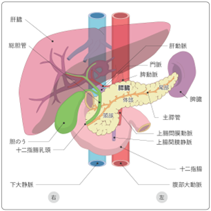 膵癌について