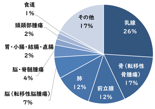 2019年度患者内訳